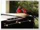 Ravenshoe QLD 4888