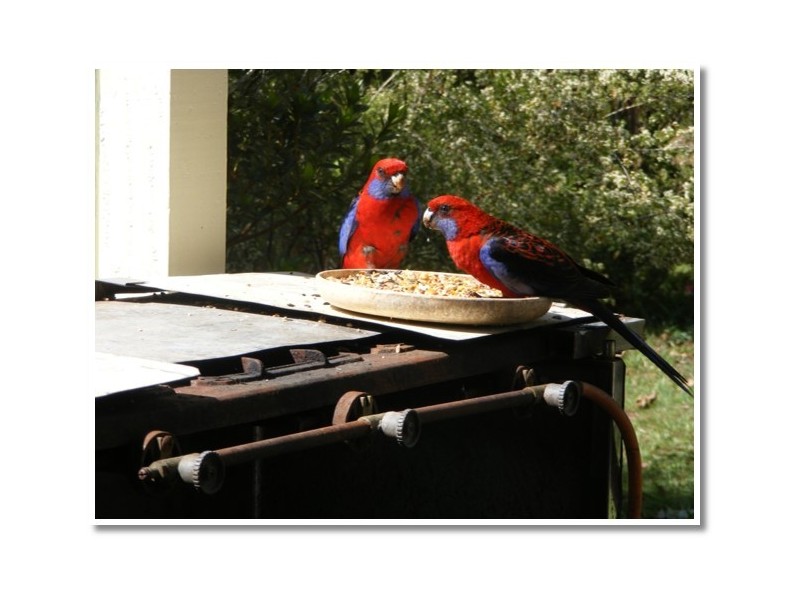 Ravenshoe QLD 4888