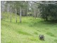 Ravenshoe QLD 4888