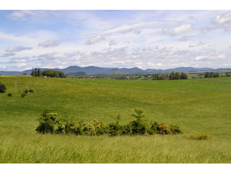 Malanda QLD 4885