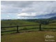 Millaa Millaa QLD 4886