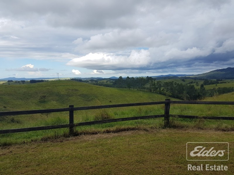 Millaa Millaa QLD 4886