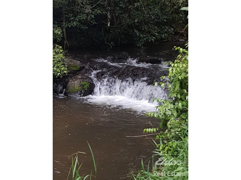 Millaa Millaa QLD 4886