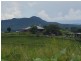 Millaa Millaa QLD 4886