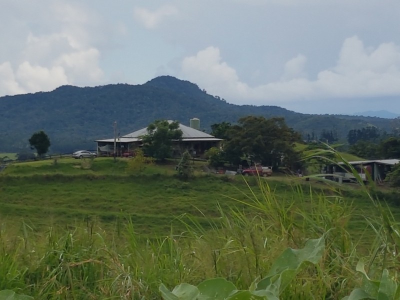 Millaa Millaa QLD 4886