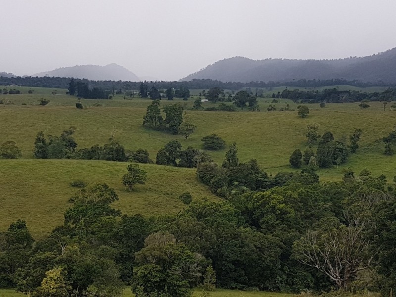 Millaa Millaa QLD 4886