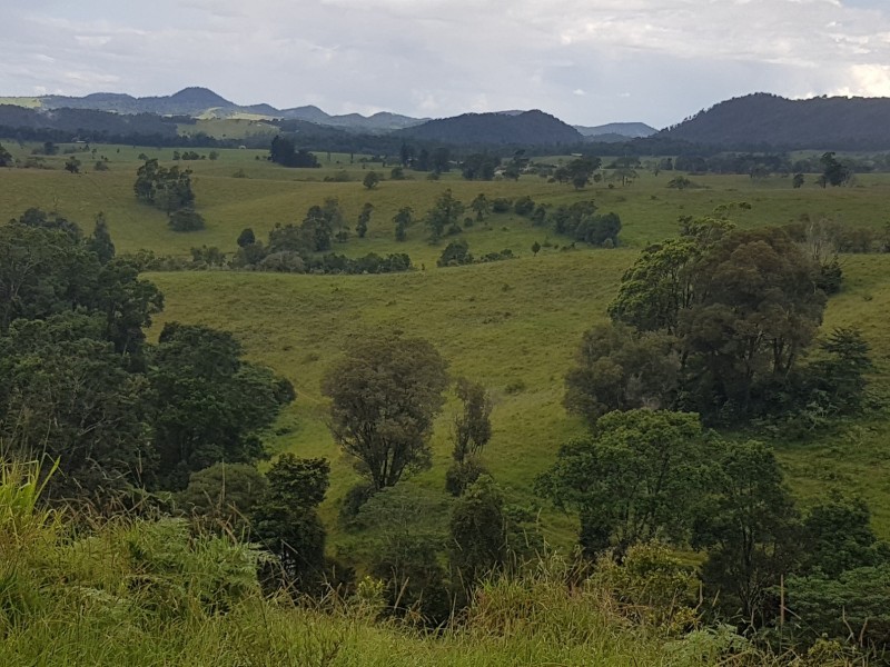 Millaa Millaa QLD 4886