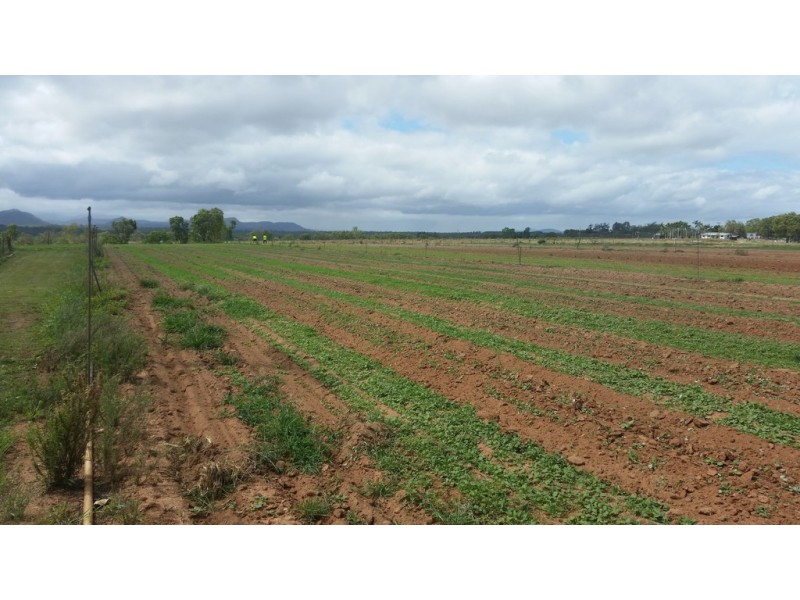 Mareeba QLD 4880