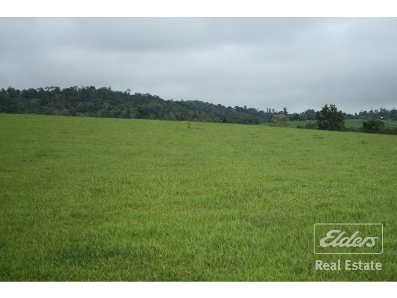 Yungaburra QLD 4884