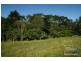 Yungaburra QLD 4884