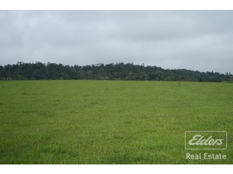 Yungaburra QLD 4884