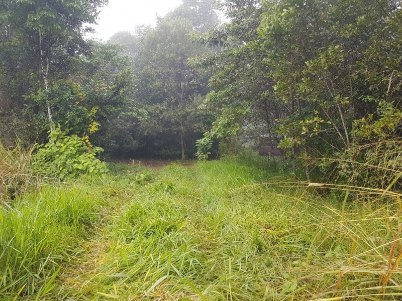 Malanda QLD 4885