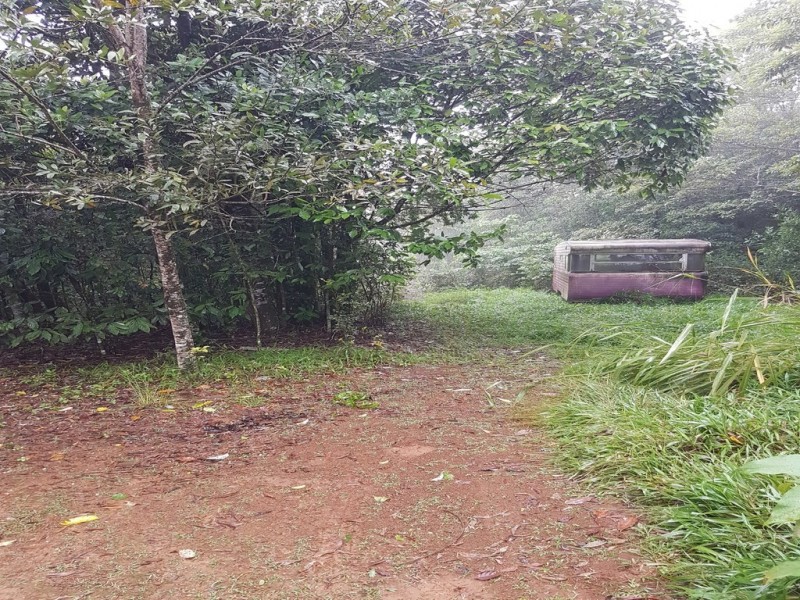 Malanda QLD 4885