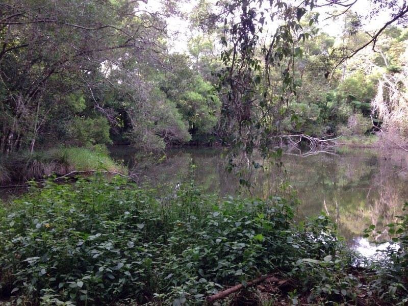 Ravenshoe QLD 4888