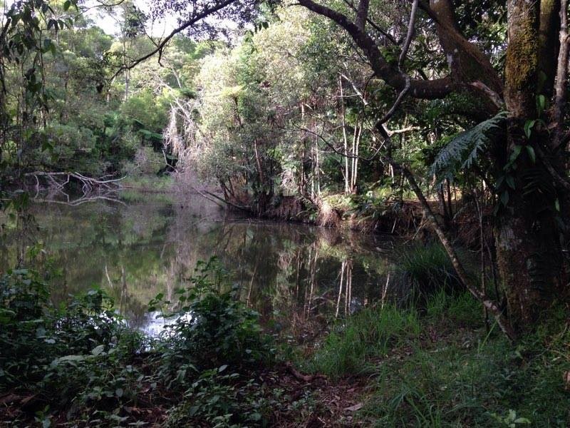 Ravenshoe QLD 4888