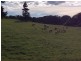Ravenshoe QLD 4888