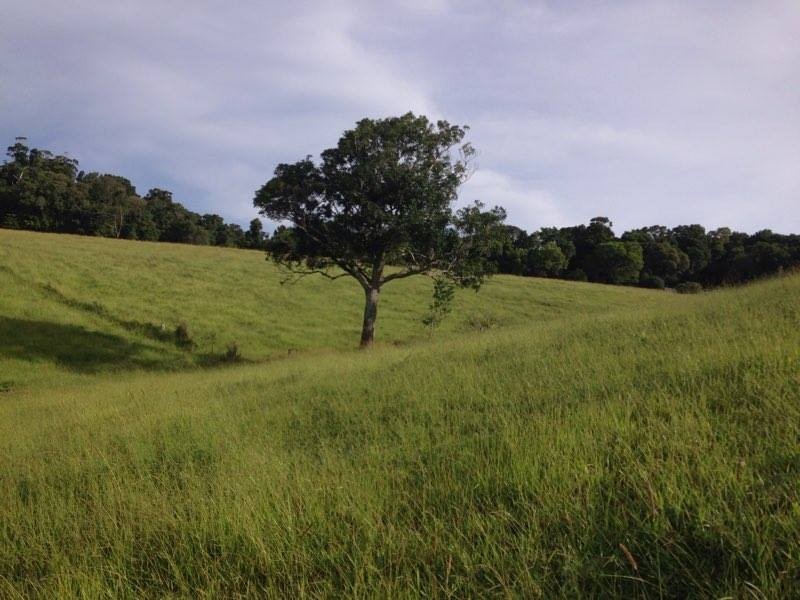 Ravenshoe QLD 4888
