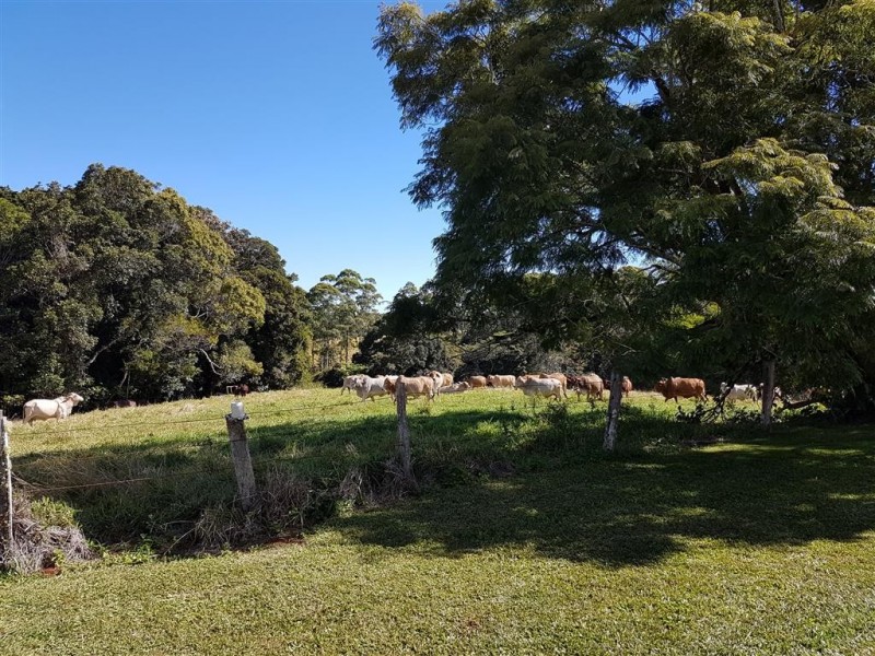 Ravenshoe QLD 4888
