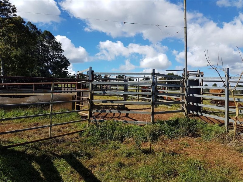 Ravenshoe QLD 4888