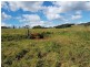 Ravenshoe QLD 4888