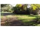 Millaa Millaa QLD 4886