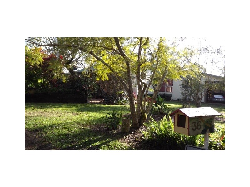Millaa Millaa QLD 4886