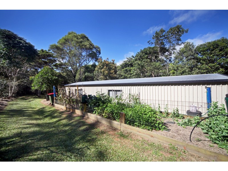 Lake Eacham QLD 4884