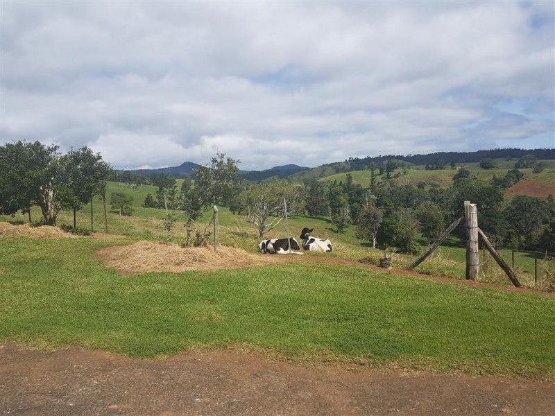 Millaa Millaa QLD 4886