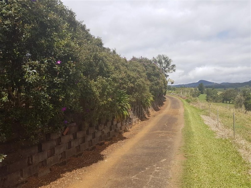 Millaa Millaa QLD 4886