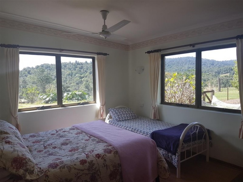 Millaa Millaa QLD 4886