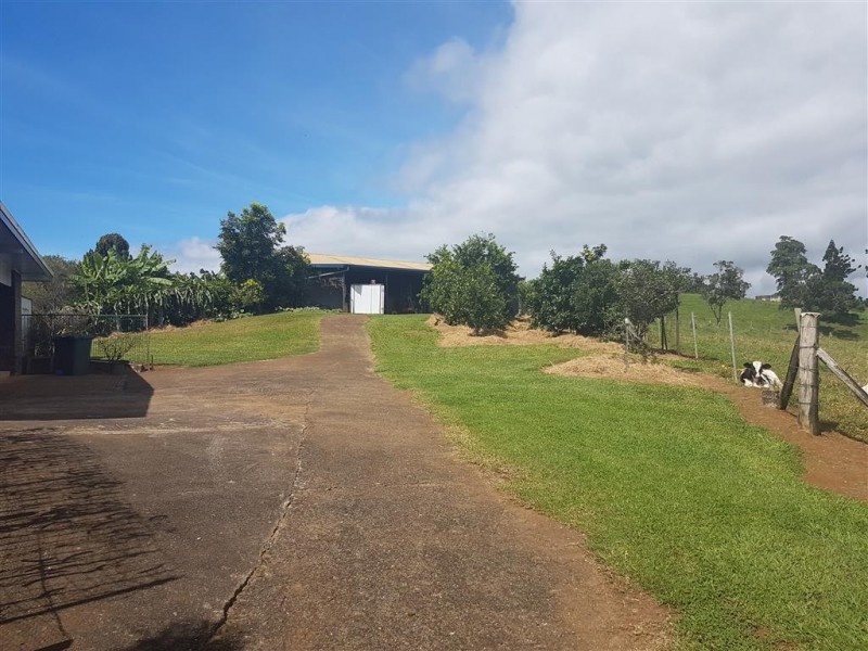 Millaa Millaa QLD 4886