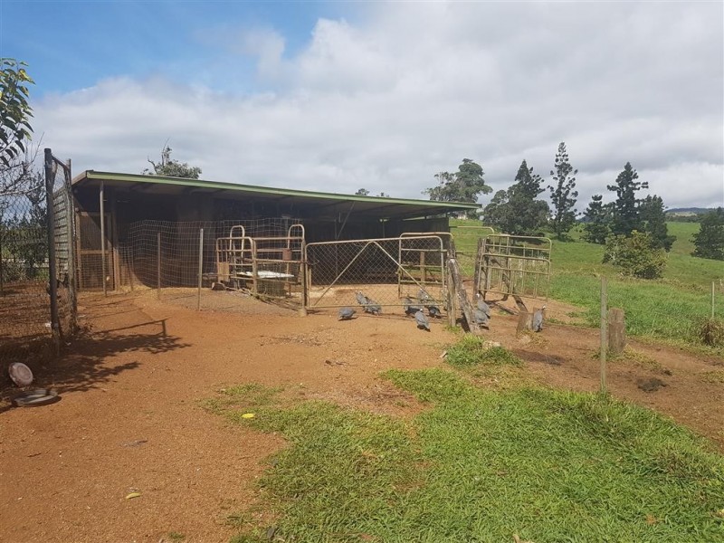 Millaa Millaa QLD 4886