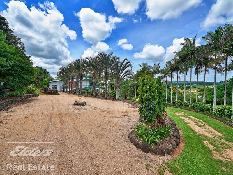 Yungaburra QLD 4884
