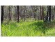 Millstream QLD 4888