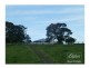 Tarzali QLD 4885
