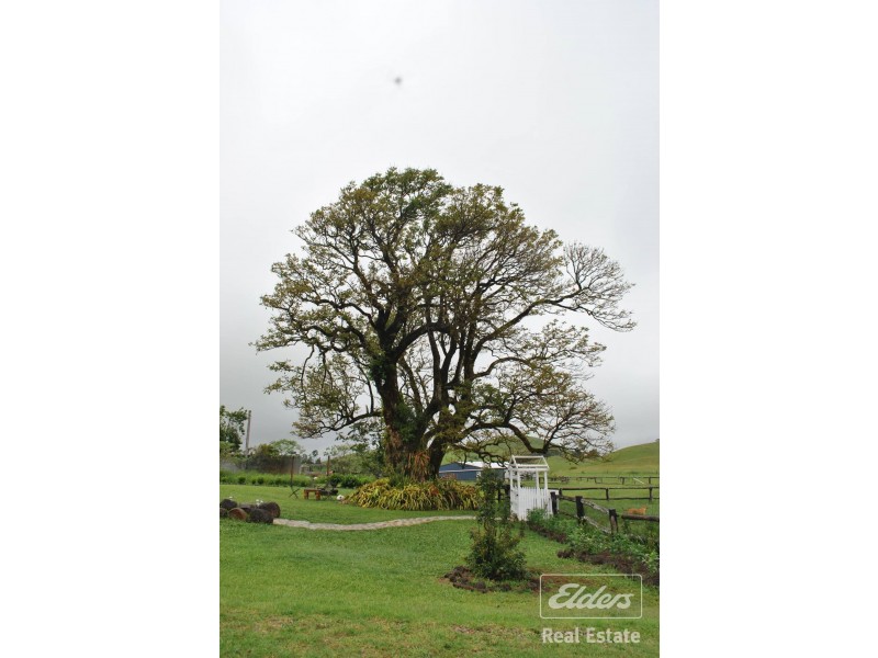 Tarzali QLD 4885