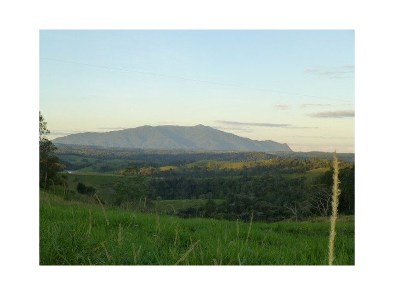 Tarzali QLD 4885