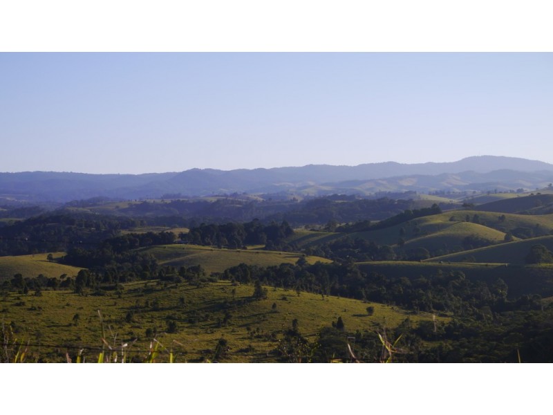 Tarzali QLD 4885