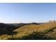 Tarzali QLD 4885