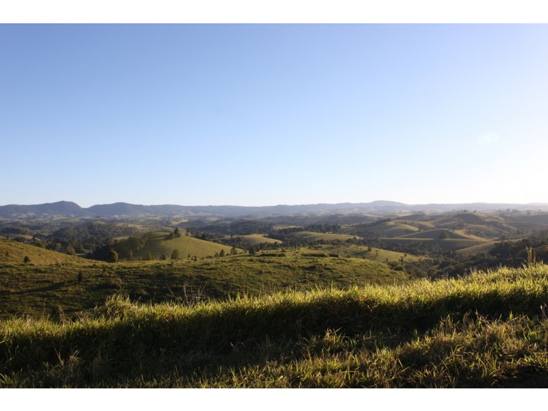 Tarzali QLD 4885