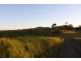 Tarzali QLD 4885