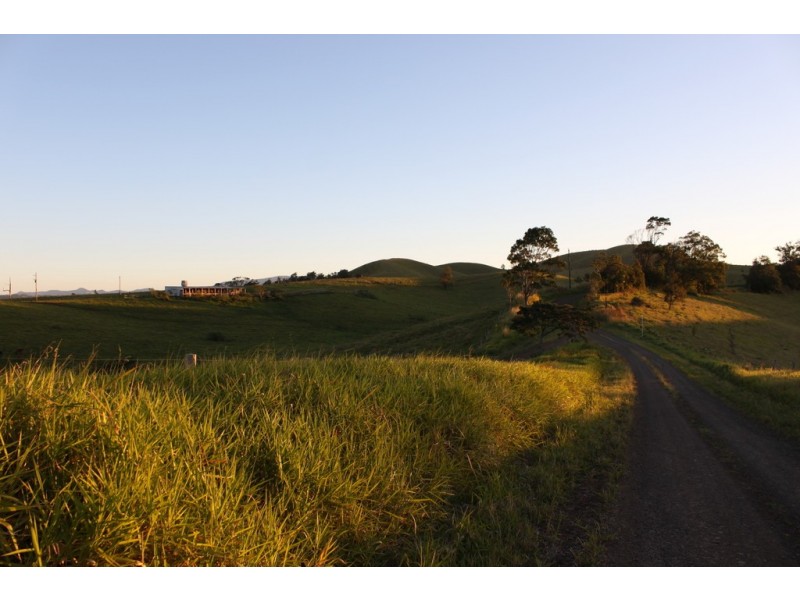 Tarzali QLD 4885