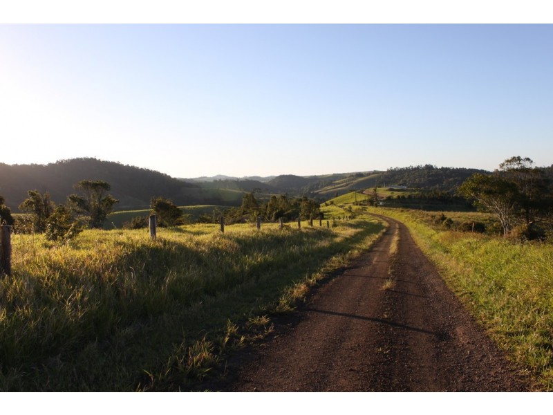 Tarzali QLD 4885