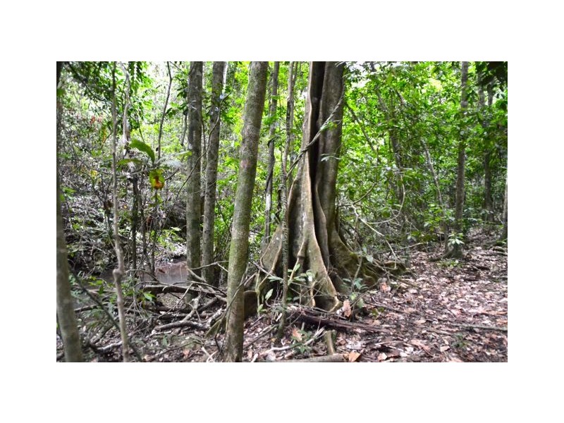 Wondecla QLD 4887