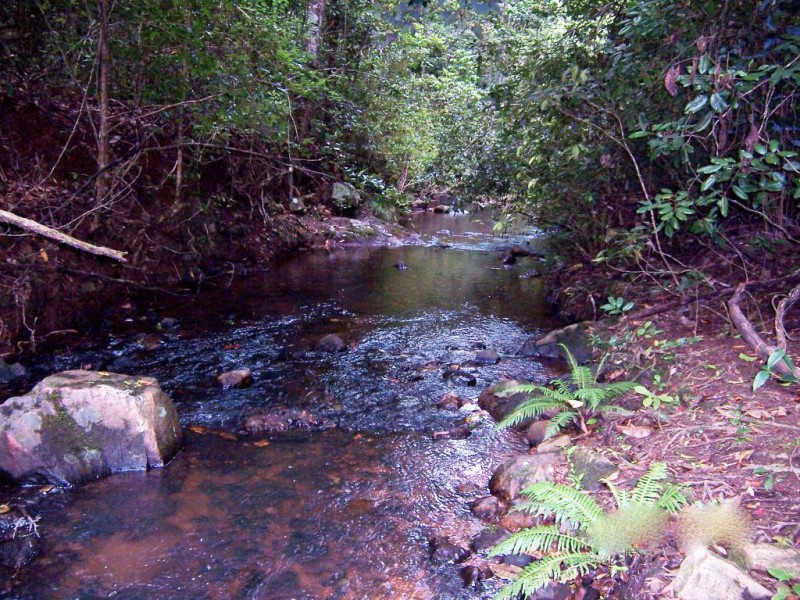 Wondecla QLD 4887