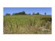 Lake Eacham QLD 4884