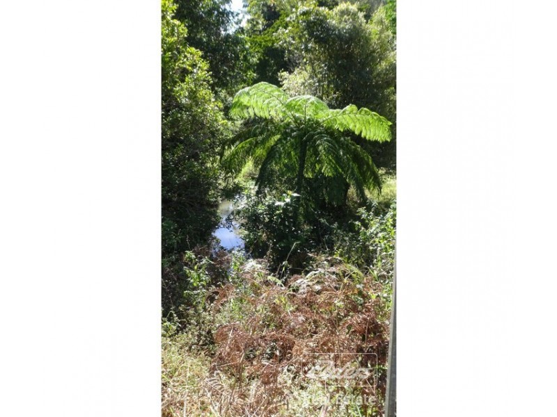 Lake Eacham QLD 4884