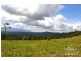 Millaa Millaa QLD 4886