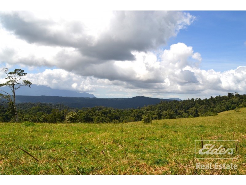 Millaa Millaa QLD 4886
