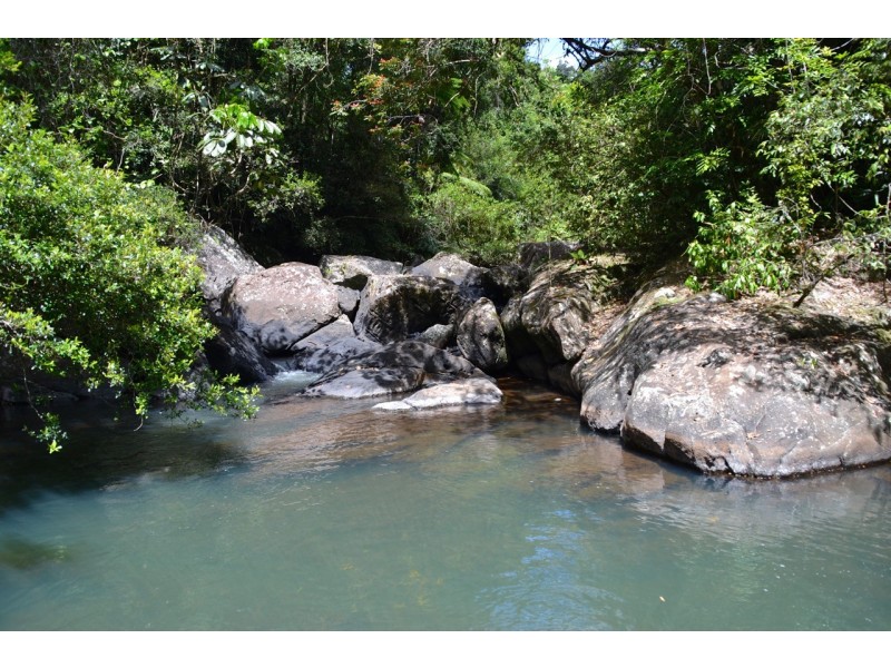 Millaa Millaa QLD 4886